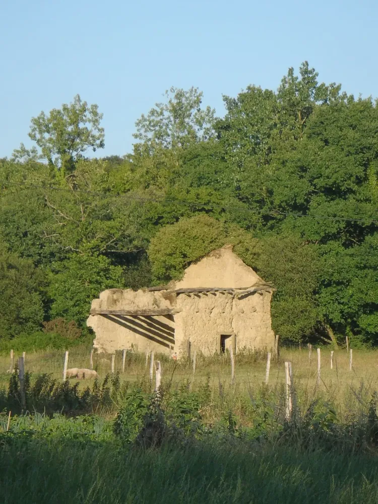 1-maison1-photo existant
